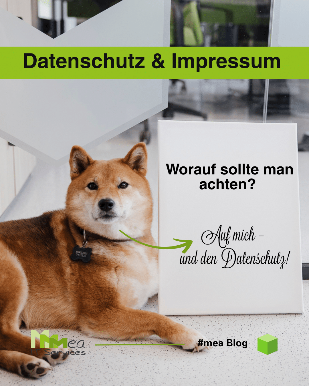 Datenschutz &amp; Impressum auf Websites